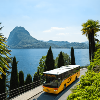 Un autobus giallo percorre una strada lungo un lago, circondato da lussureggianti palme e montagne sullo sfondo.