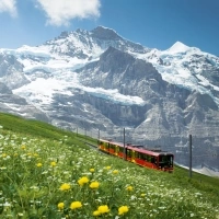 Un treno rosso attraversa prati verdi con fiori gialli e bianchi, montagne innevate sullo sfondo.