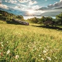 A meadow with flowers in the foreground, a train passing through a green landscape, mountains and a lake in the background at sunset.