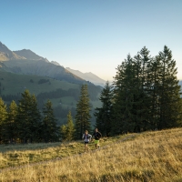 Zwei Personen joggen auf einem Bergpfad bei Sonnenuntergang, umgeben von Bäumen und Bergen.
