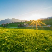 A green meadow with yellow flowers in the foreground, mountains in the background at sunset.