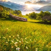 A train travels through a green landscape with mountains in the background and a lake under a bright sunset.