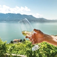 A hand holding a wine glass with white wine in front of a landscape with vineyards and a lake.