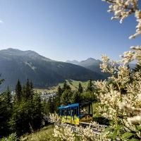 A funicular railway travels through a mountainous landscape, surrounded by fir trees and blossoms.