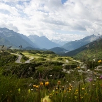 Une route de montagne sinueuse, entourée de prairies vertes et de fleurs sauvages colorées, avec en toile de fond des montagnes majestueuses.