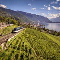 Un train traverse des vignobles avec vue sur un lac et des montagnes à l'arrière-plan.
