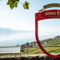 Ein roter Foto-Spot mit Blick auf die Rebberge und einen See mit Bergen im Hintergrund.