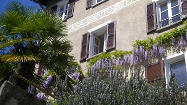 Vieille maison avec portes en bois et glycine en fleurs, entourée de palmiers et de ciel bleu.