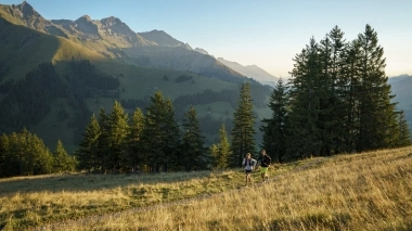 Two people jogging on a mountain trail at sunset, surrounded by trees and mountains.