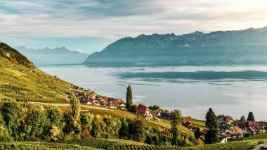 Weinberge an einem See mit Bergen im Hintergrund.