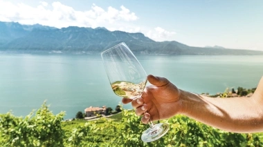 A hand holding a wine glass with white wine in front of a landscape with vineyards and a lake.
