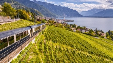 A train travels through vineyards with a view of a lake and mountains in the background.