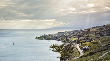 Genfersee und Blick nach Cully am Lavaux im Kanton Waadt