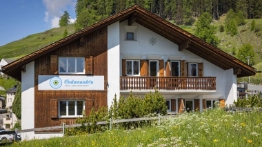 Flower meadow with hotel and trees in the background