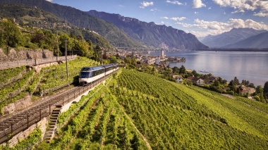 Un train traverse des vignobles avec vue sur un lac et des montagnes à l'arrière-plan.