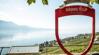 Ein roter Foto-Spot mit Blick auf die Rebberge und einen See mit Bergen im Hintergrund.
