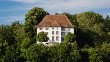 Weisses Schlosshotel in einem Wald gelegen und von Bäumen umgeben.