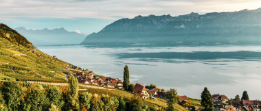 Vineyards by a lake with mountains in the background.