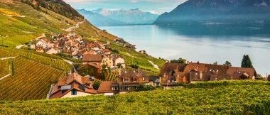 Eine malerische Landschaft mit einem Dorf zwischen Weinbergen, einem See und Bergen im Hintergrund.