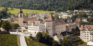 A historic castle with a large tower, surrounded by vineyards and modern buildings in the background.