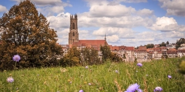 Un prato con fiori viola in primo piano, dietro una città con una grande chiesa e una torre, cielo nuvoloso.