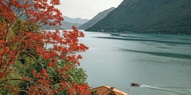 A tree with red leaves by the shore of a lake, behind it a house with a red roof and a landscape with mountains.