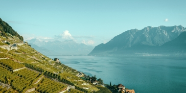 Terrassenförmig angelegte Weinberge am See mit Bergen im Hintergrund.