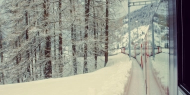 Treno che attraversa un paesaggio forestale innevato.