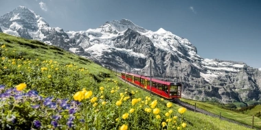 Eine rote Bahn fährt durch eine blühende Almwiese vor schneebedeckten Bergen.