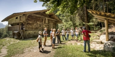 Une guide touristique s’adresse à un groupe dans le paysage verdoyant du musée en plein air de Ballenberg.