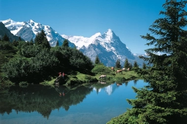 Lac de montagne avec des sommets enneigés en arrière-plan, paysage vert et vaches sur le rivage.