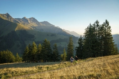Two people jogging on a mountain trail at sunset, surrounded by trees and mountains.