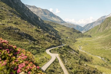 Eine kurvige Bergstrasse, umgeben von grünen Hügeln und blühenden Pflanzen.