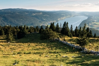 Un vaste paysage montagneux avec des conifères, une pente herbeuse et une vue sur un lac au loin.