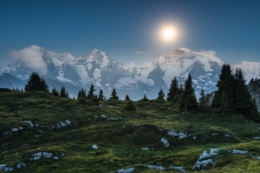 Eine Berglandschaft bei Sonnenaufgang mit schneebedeckten Gipfeln und Tannen im Vordergrund.