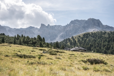 A wide mountain meadow with grazing horses, surrounded by tall mountains and a wooded hill; an old wooden hut in the foreground.