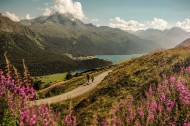 Two people hiking on a mountain trail overlooking a lake and mountains in the background; blooming purple flowers in the foreground.