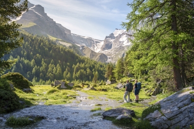 Zwei Wanderer stehen auf einer Wiese mit Blick auf schneebedeckte Berge und Wälder.