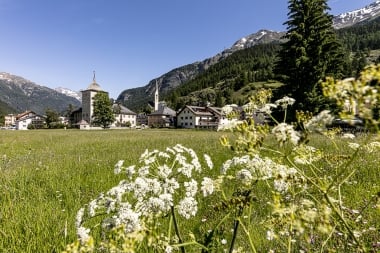 Zernez in summer with church tower, mountains and blooming meadow