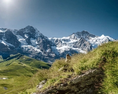 Un paysage de montagne avec des sommets enneigés et des prairies vertes sous un ciel bleu clair.