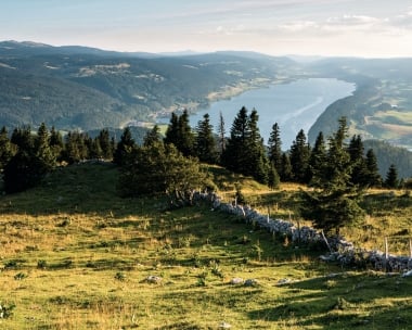 A vast mountain landscape with conifer trees, a grassy slope, and a view of a lake in the distance.
