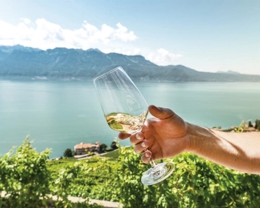 A hand holding a wine glass with white wine in front of a landscape with vineyards and a lake.