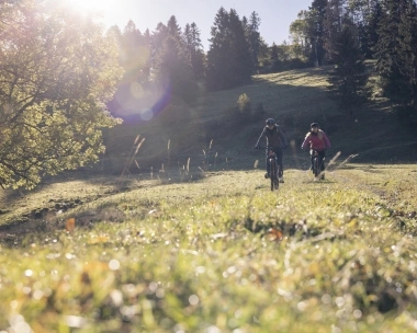 Two people ride bicycles through a green meadow surrounded by trees in the sunshine.