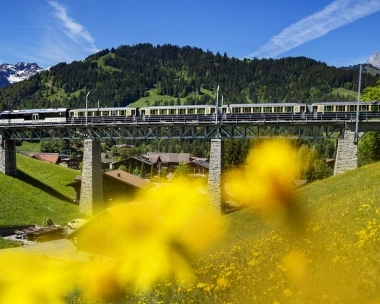 Un train traverse un pont dans un paysage montagneux avec des fleurs jaunes au premier plan.