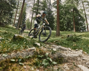 Two mountain bikers on a forest trail.