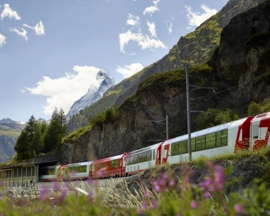 A panoramic train with red accents winds through an alpine landscape with colorful wildflowers, with the Matterhorn in the background under a sunny sky.