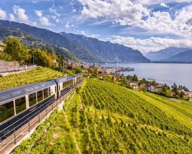 A train travels through vineyards with a view of a lake and mountains in the background.