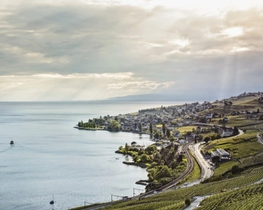 Genfersee und Blick nach Cully am Lavaux im Kanton Waadt