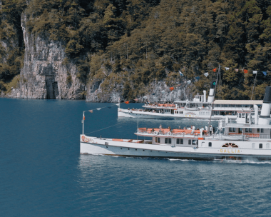 Two steamboats on Lake Lucerne
