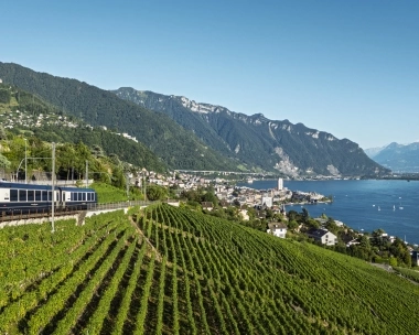 Le train longe des vignobles et les rives d'un lac.